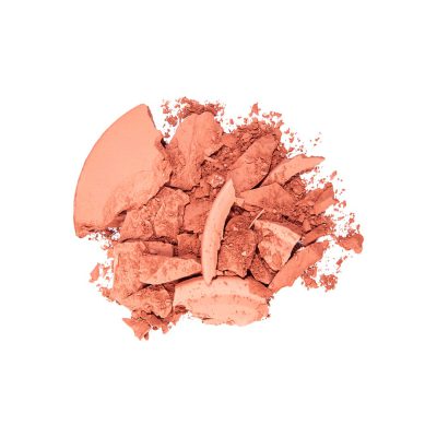 رژگونه اینستایل تاپ فیس شماره 005-گالری پاریس