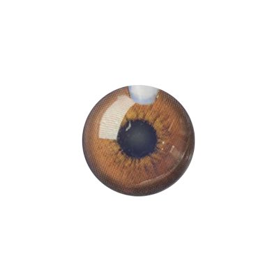 لنز چشم رنگی آی ریو (EYEREVE) شماره CARAMELL 12-گالری پاریس