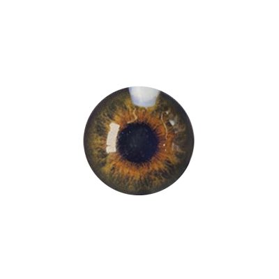 لنز چشم رنگی آی ریو (EYEREVE) شماره FLORAANS HAZEL 15-گالری پاریس