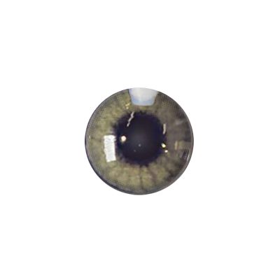 لنز چشم رنگی آی ریو (EYEREVE) شماره MARRON 10-گالری پاریس