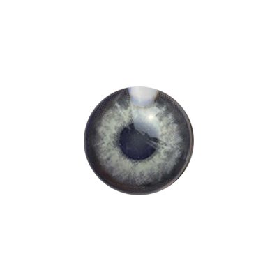 لنز چشم رنگی آی ریو (EYEREVE) شماره PEARL GRAY 04-گالری پاریس