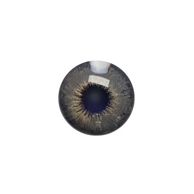 لنز چشم رنگی آی ریو (EYEREVE) شماره PIXI GRAY 06-گالری پاریس