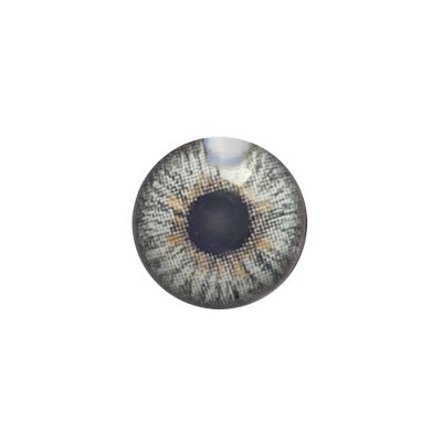 لنز چشم رنگی آی ریو (EYEREVE) شماره URANS GRAY 02-گالری پاریس