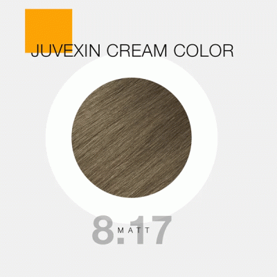 رنگ مو GK - 8.17 Matt Light Blonde (زیتونی روشن)_گالری پاریس