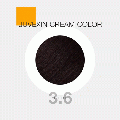 GKhair Color - 3.6 _ قهوه‌ای قرمز تیره _ گالری پاریس