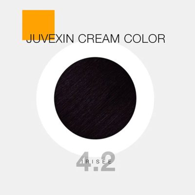 GKhair Color - 4.2 _ قهوه‌ای بادمجانی _ گالری پاریس
