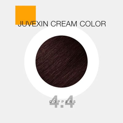 GKhair Color - 4.4 _ مسی شاه بلوطی _ گالری پاریس
