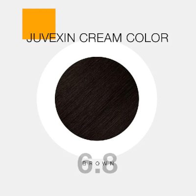 GKhair Color - 6.8 DARK BRUNETTE BLONDE (قهوه‌ای خرمایی)