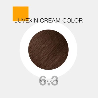 GKhair Color - 6.3 _ بلوند طلایی تیره _ گالری پاریس