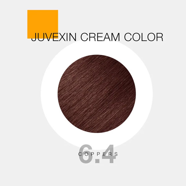 GKhair-Color---6.4 GKhair Color - 6.4 _ بلوند مسی _ گالری پاریس