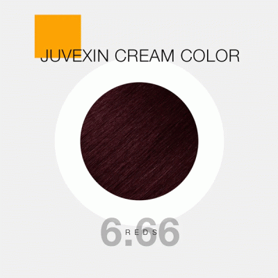 GKhair Color - 6.66 _ بلوند قرمز آتشین _ گالری پاریس