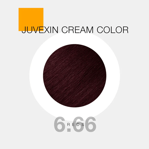 GKhair-Color---6.66 GKhair Color - 6.66 _ بلوند قرمز آتشین _ گالری پاریس