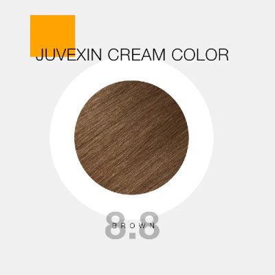 GKhair Color - 8.8 LIGHT BRUNETTE BLONDE (بلوند قهوه‌ای خرمایی روشن)