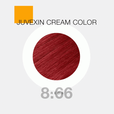 GKhair Color - 8.66 _ بلوند قرمز روشن _ گالری پاریس