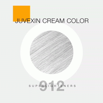 GKhair Color - 912 SILVER SUPERLIGHTENER ( سوپر لایت نقره ای )_گالری پاریس