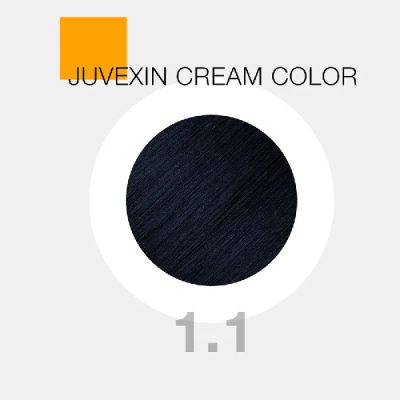 رنگ موی 1.1 BLUE BLACK GK _ گالری پاریس