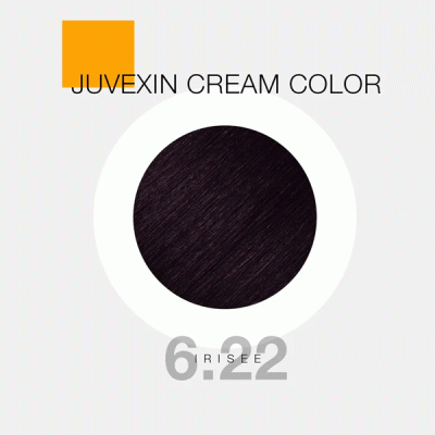 رنگ مو GKhair Color - 6.22 _ قهوه‌ای بادمجونی روشن _ گالری پاریس