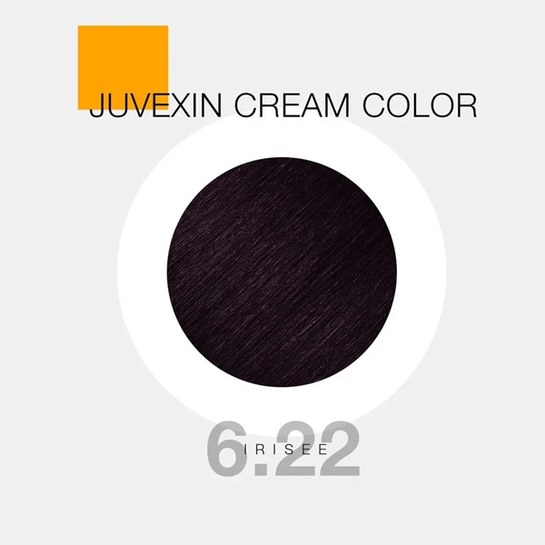 Hair-color-GKhair-Color---6.22 رنگ مو GKhair Color - 6.22 _ قهوهای بادمجونی روشن _ گالری پاریس