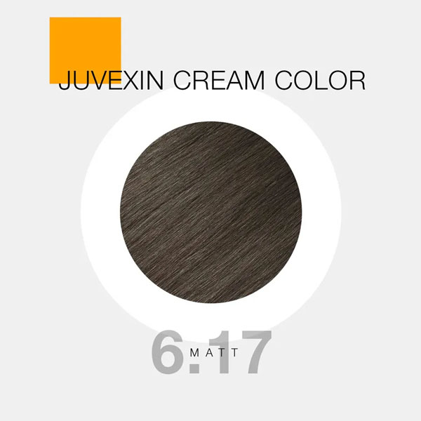 Hair-color-GKhair-Color---617 رنگ مو GKhair Color - 6.17 _ زیتونی تیره _ گالری پاریس